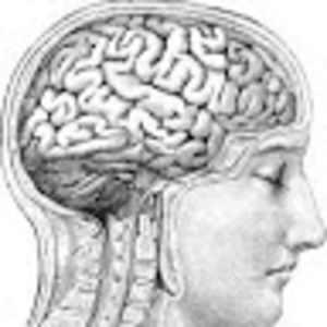 Meet your Posher, Donette